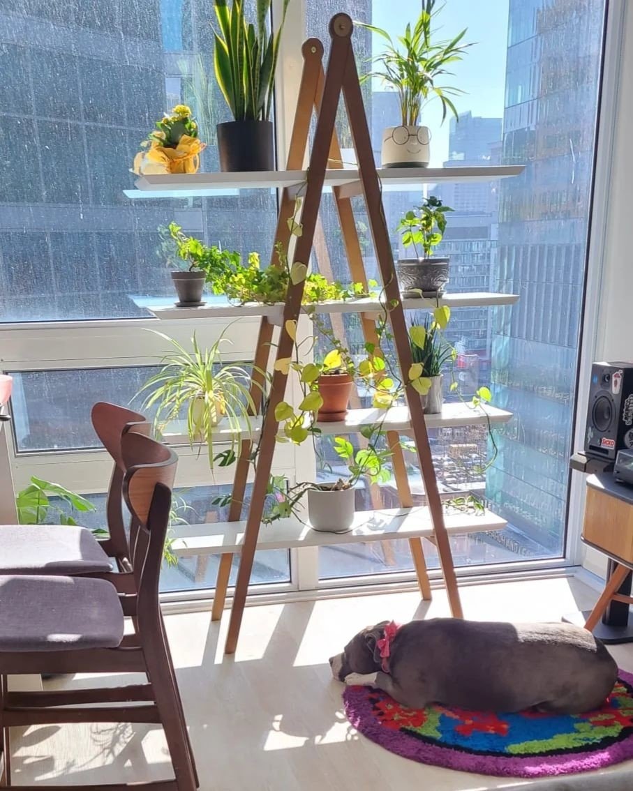 Bookcase