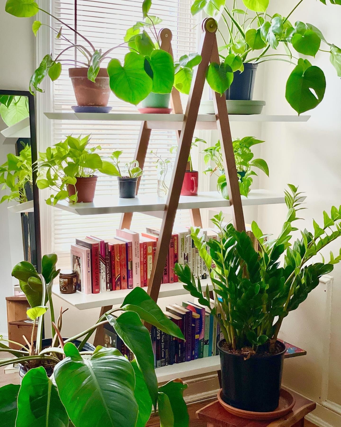 Bookcase